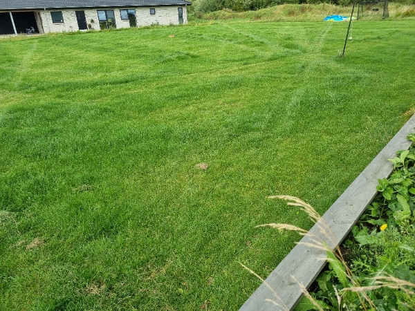 Havearbejde samt bortkørsel af stort affald.