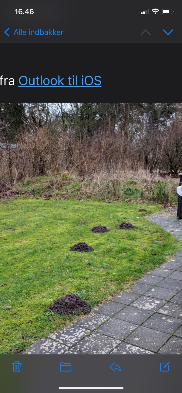 Fjernelse af jordvold 8x2,5x0,6 ca. 12m3 jord. Let at komme til.