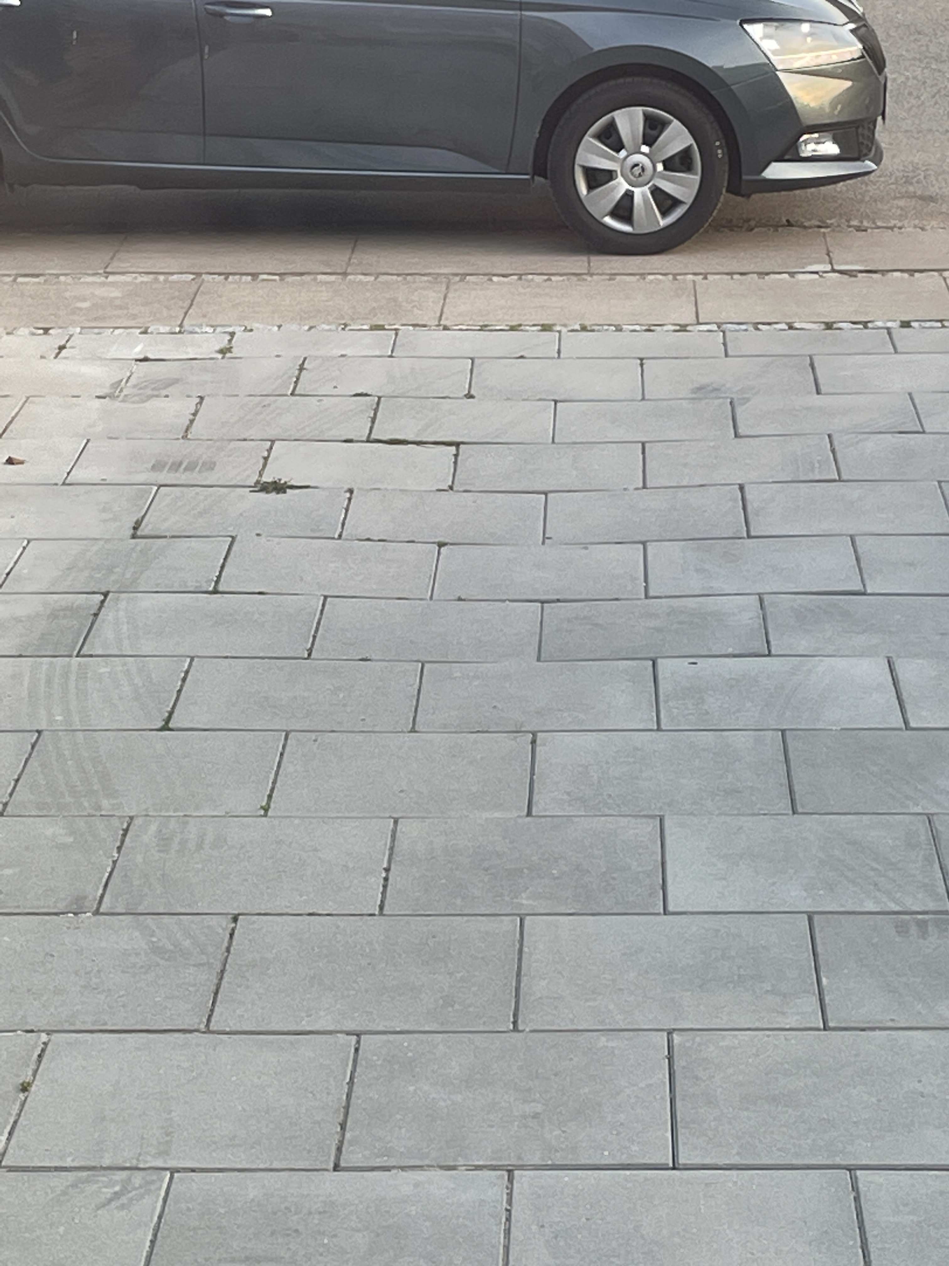 Flisearbejde - jeg skal have rette ca 10 m2 fliser 50*50*5 fliser så heg kan stille et skur på dem