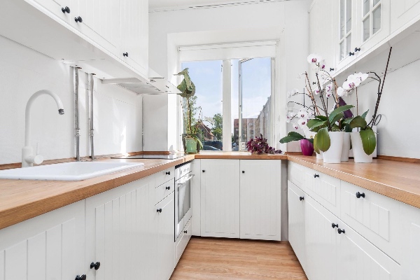 Fjernelse, afmontering og rengøring