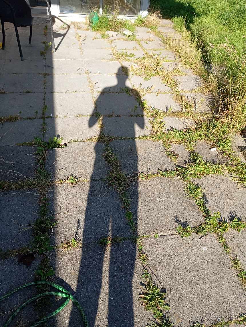 Havearbejde