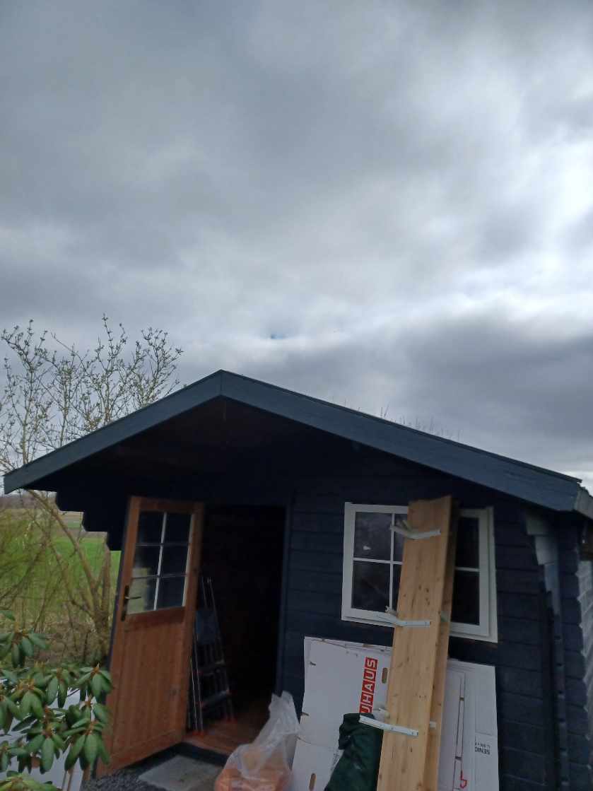 Reparation af tag på mindre anneks i haven. Fjernelse af gammelt tagpap og sternbrædder og nyt tagpap lægges/nye brædder monteres.