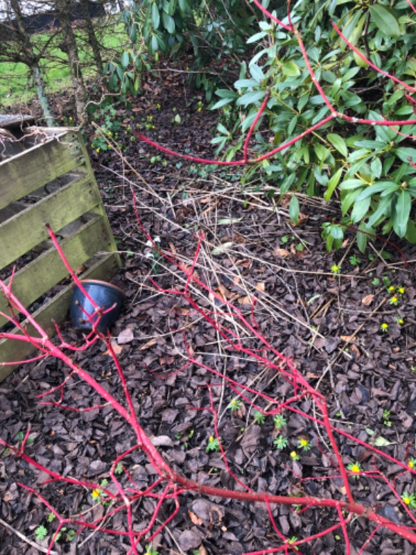 Fjerne haveaffald/grene