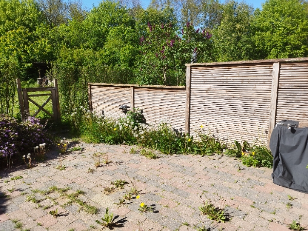 Ukrudtsfjerning og juletræsafhentning