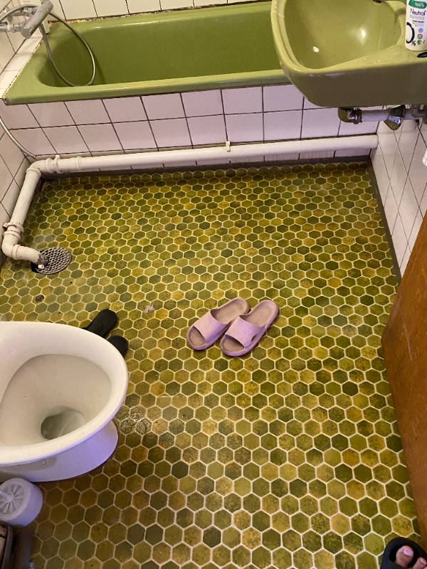 toilet renovation  all