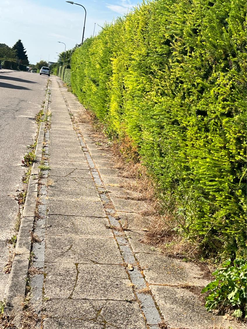 Havearbejde - ukrudtsbekæmpelse