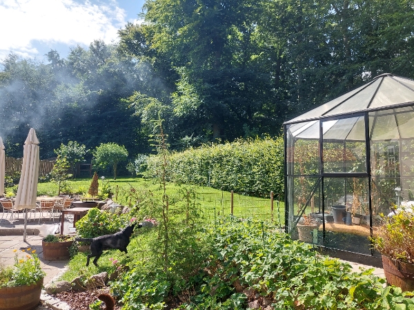 Klip af hæk, ca 40 og 25 m, incl bortskaffelse 