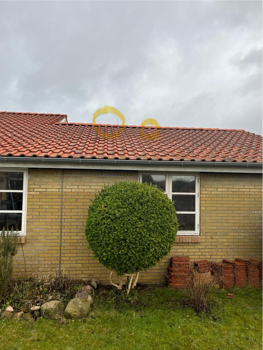 Udskifte 3 tagsten på vingetegl tag