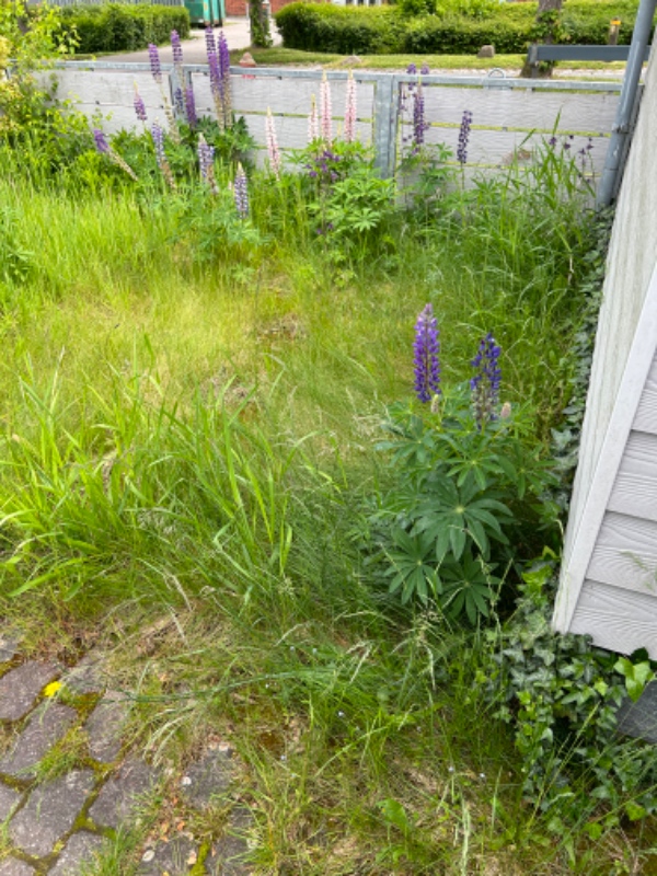 Slå græs og trim hække