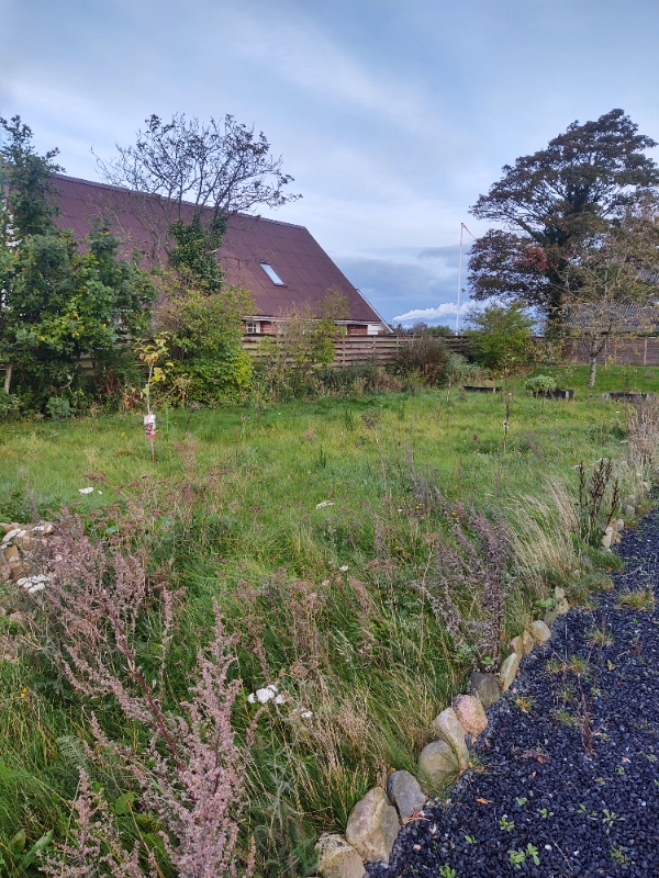 Slået græsplæne (800 kvm, højt), skære kanter ved bede, fjerne ukrudt i fliser og indkørsel.