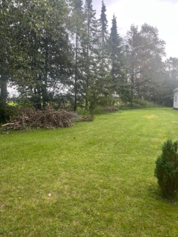 Gjort haven pæn, så den står skarpt på billeder der skal tages ifbm salg.