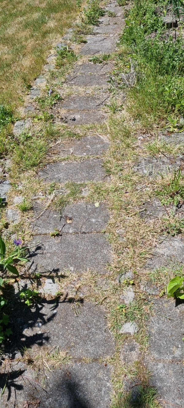 fjerne ukrudt på trappe, sti, terasse