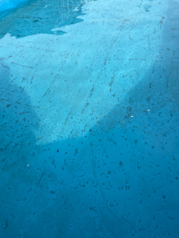 Rensning af pool bund