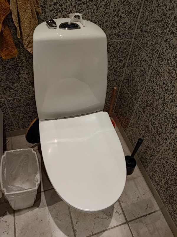 Toilet reparation og udskiftning