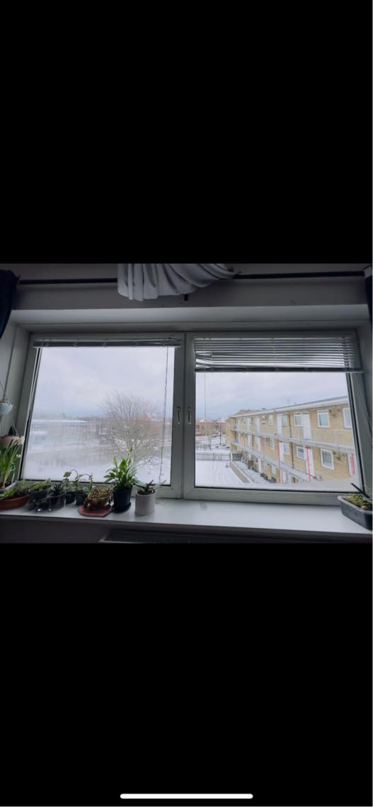 Udskiftning af vindue