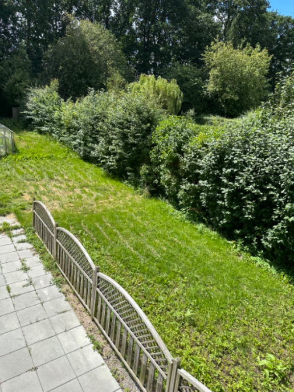 Hækklipning og græsslåning