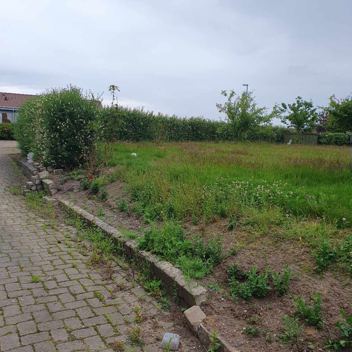 Hækklipning rundt om grunden