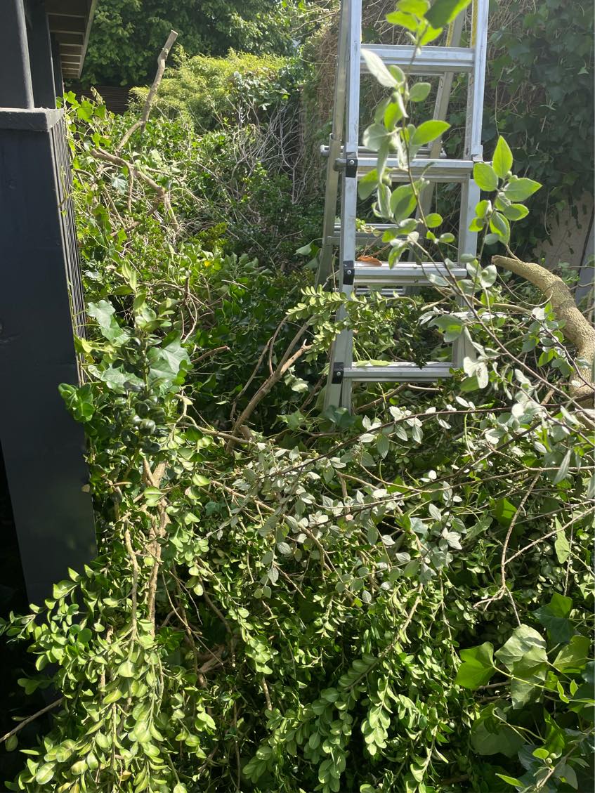 Haveaffald til genbrugspladsen