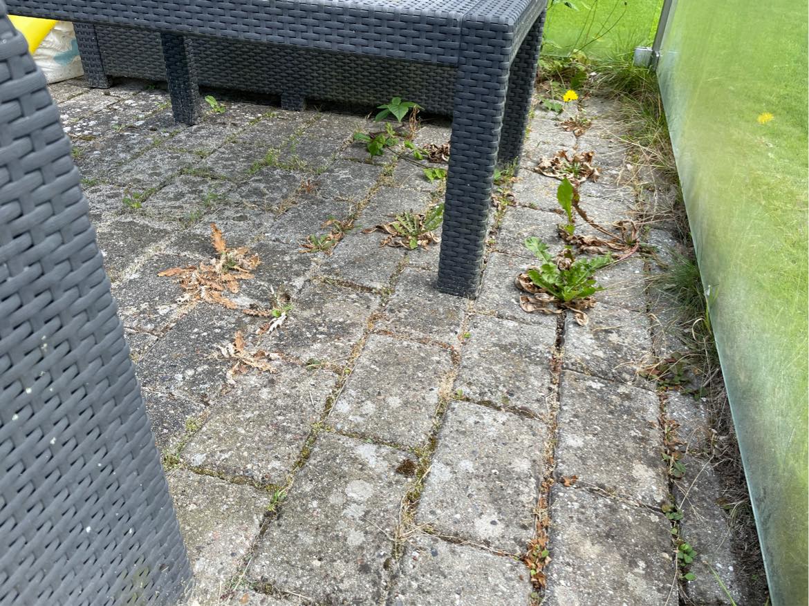 Fjernet ukrudt i indkørsel, og terrasse.