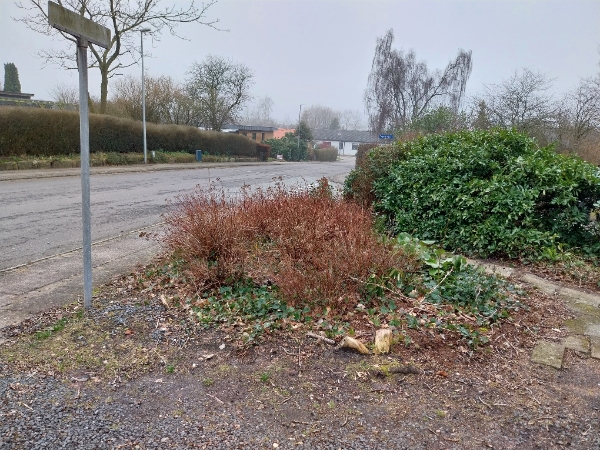 Rydning af forhave og trærod