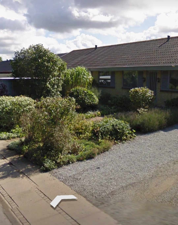 Fjernelse af en masse ukrudt + beskæring af træer/buske