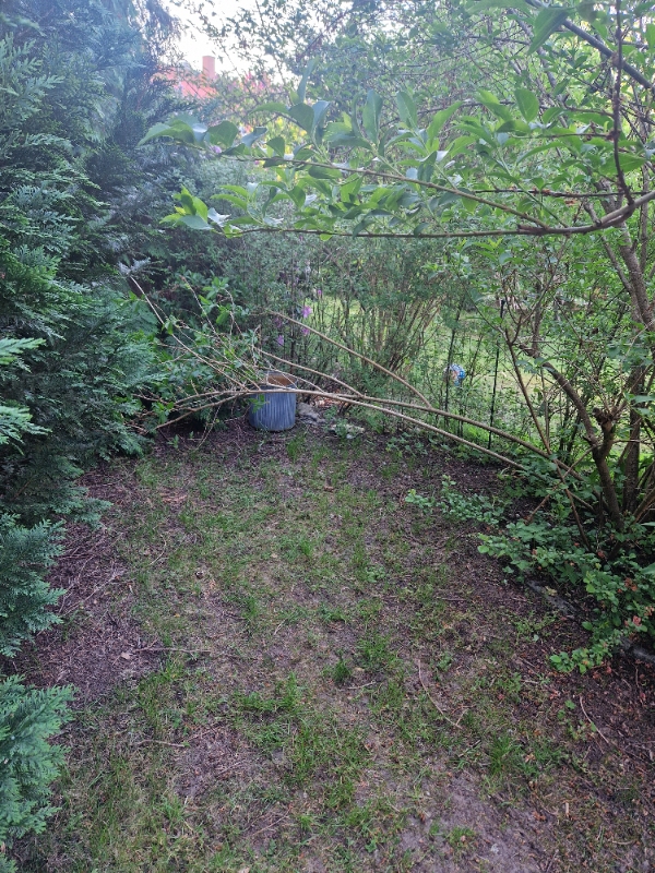 Beskæring og havearbejde