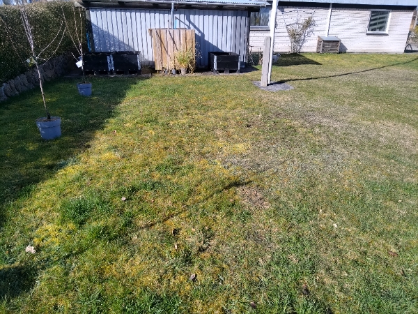 Fræsning af græsplæne