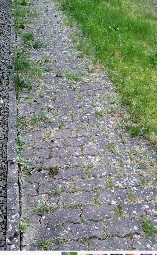 Fjern ukrudt mellem fliser