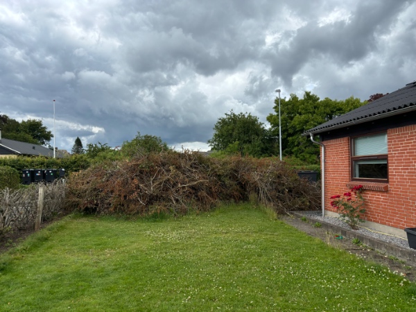 Bortskaffelse af haveaffald