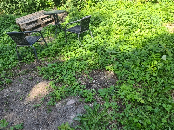 Ordnet udkrudt og slået græs