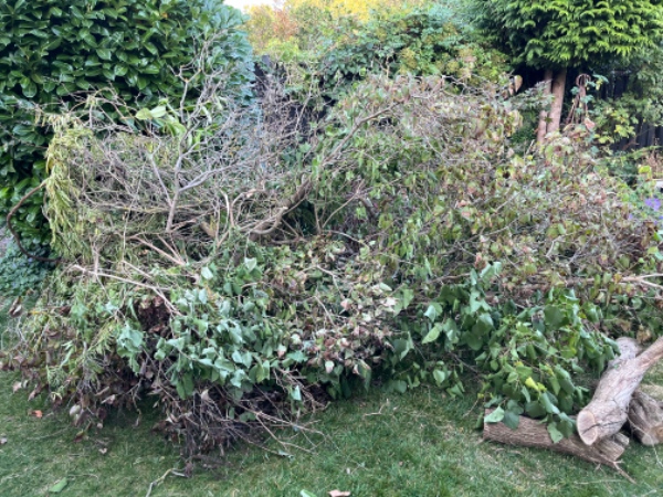 Afhentning af haveaffald