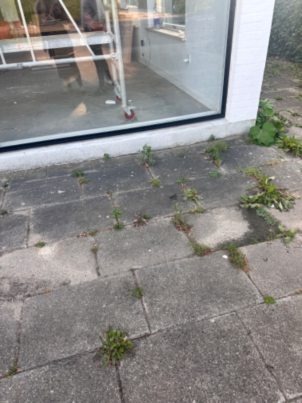 fjernelse af ukrudt foran bygningen og i indkørslen