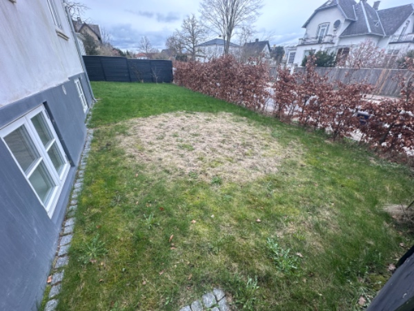 Plæneklipning og kanttrimning