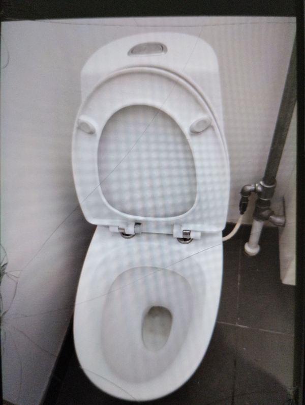 Running toilet and doesn't flush properly.