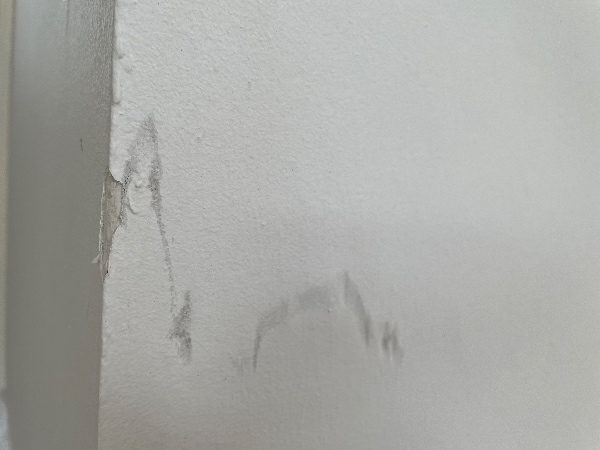 istandsættelse ved fraflytning af 46m2 rækkehus