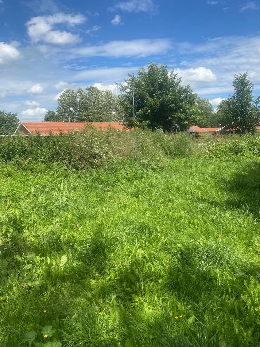 Køre hæk affald væk