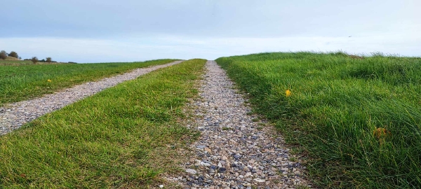 Opfyldning og tilretning af 320 meter grusvej