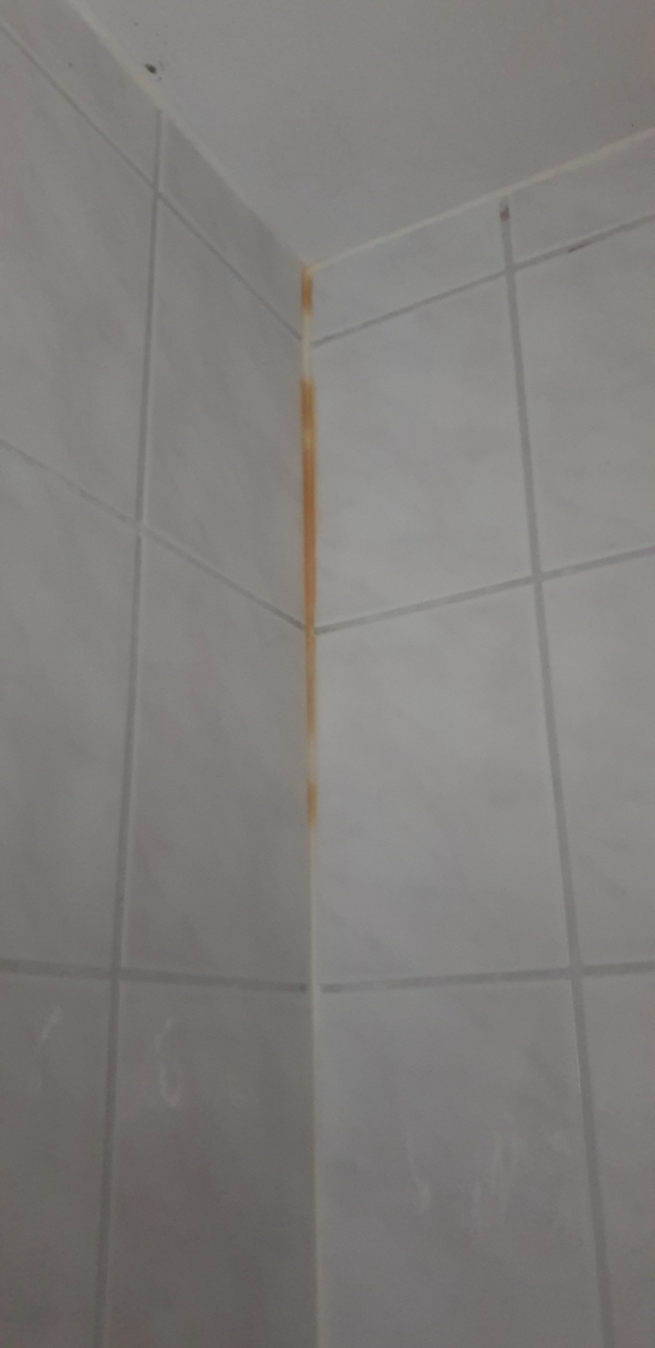 udskiftning af fuger