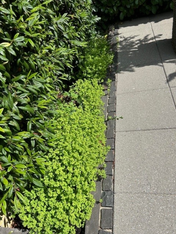 fjernelse af jord, ca. 3 m3