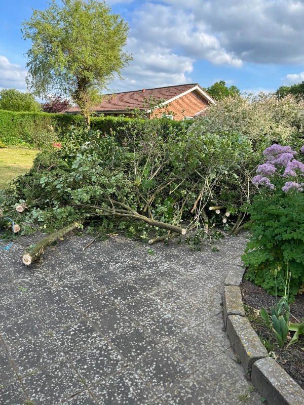 Fjernelse af pil og haveaffald