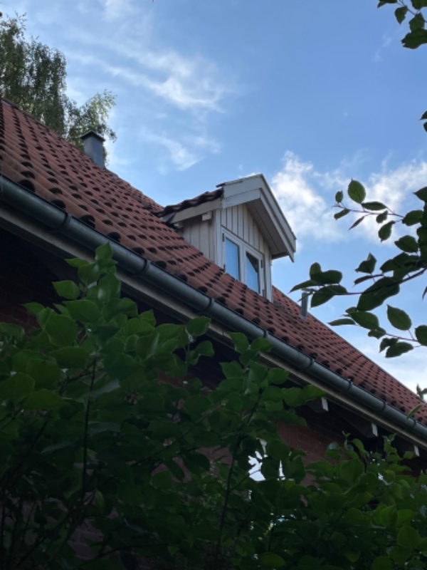 Maling træ udendørs