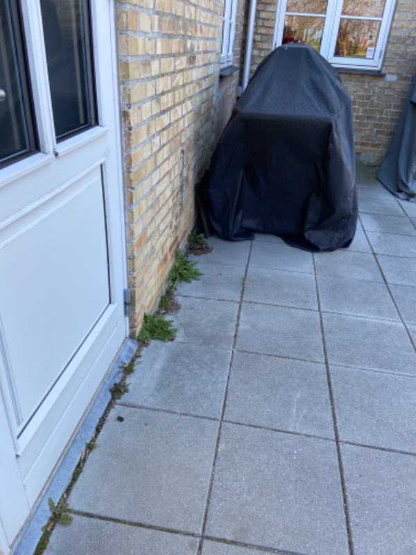 Græsslåning, fjerne ukrudt på terrassen, indkørsel samt gangfliser