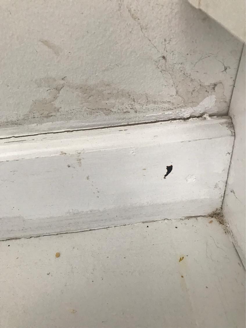 Diverse små tømrer opgaver i køkken - afmonterimg af en træplade og montering og tilskæring af sokkel ( frontpanel ) Lidt fugning. Ps: disse er hasteopgaver, men jeg har em del flere tømreropgaver, så hvis arbejdet fumgerer godt og timeprisen er fair er der flere og også større opgaver at tage fat på.