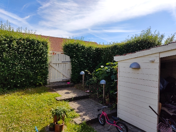 Hækklipning af 45 meter hæk