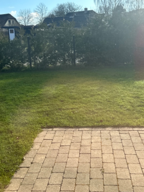 Thuja hækklipning i Brabrand