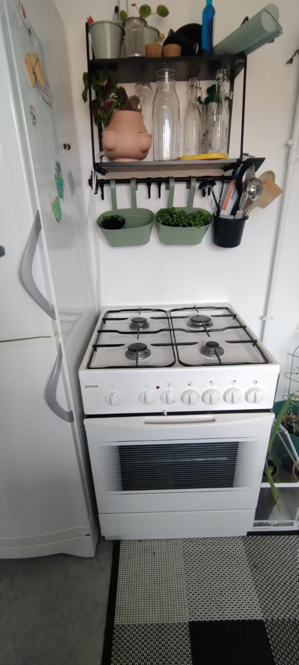 Hjælpe til at flytte køleskabet, gasovn, seng, klædeskab, og spise bord