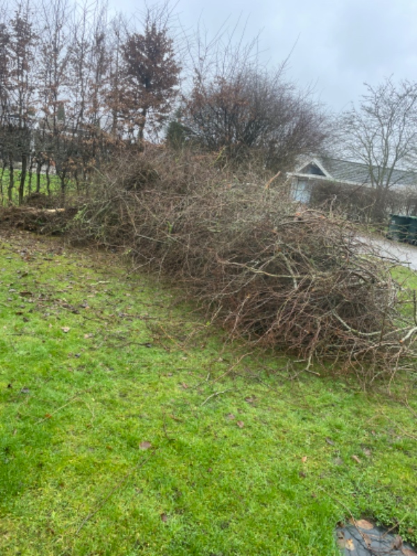 Bortakskaffelse af haveaffald