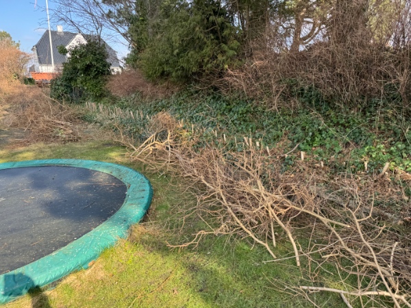 Fjernet haveaffald (inkl. hæk der er skåret ned)