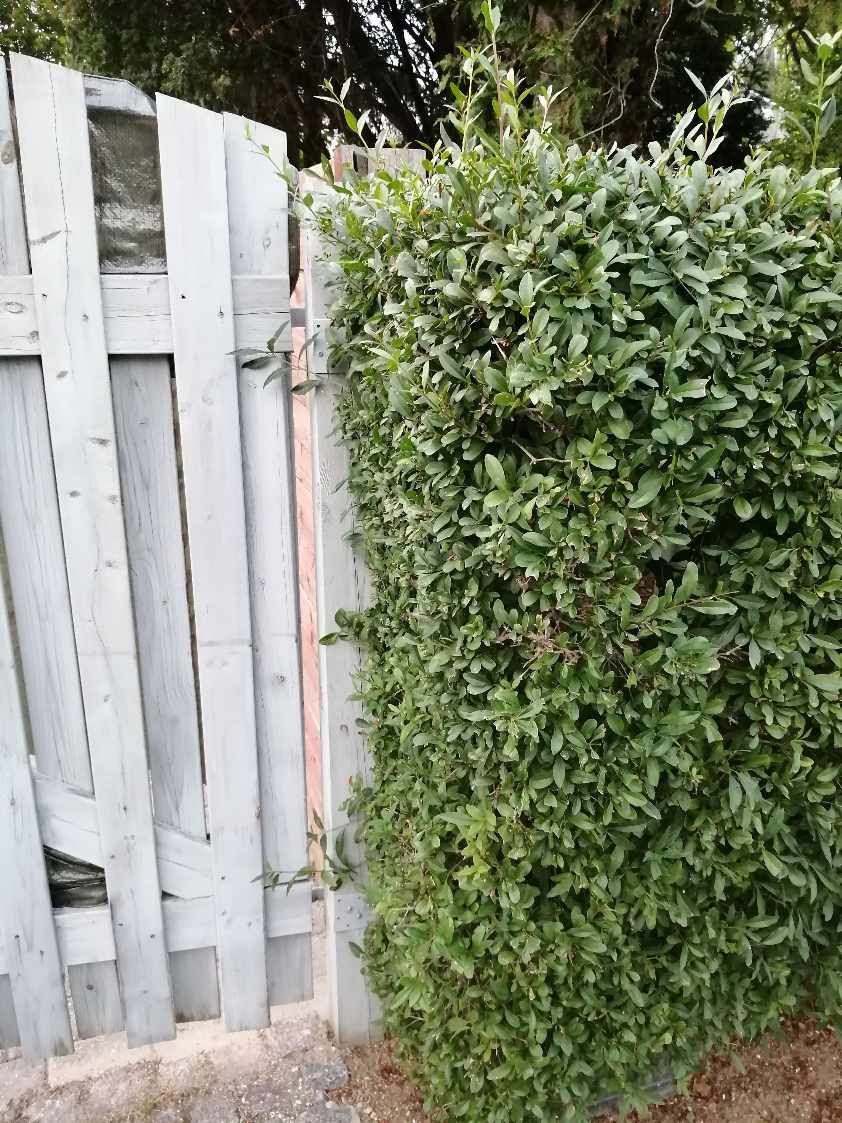 Sætte portdør må plads igen med nye hængsler
