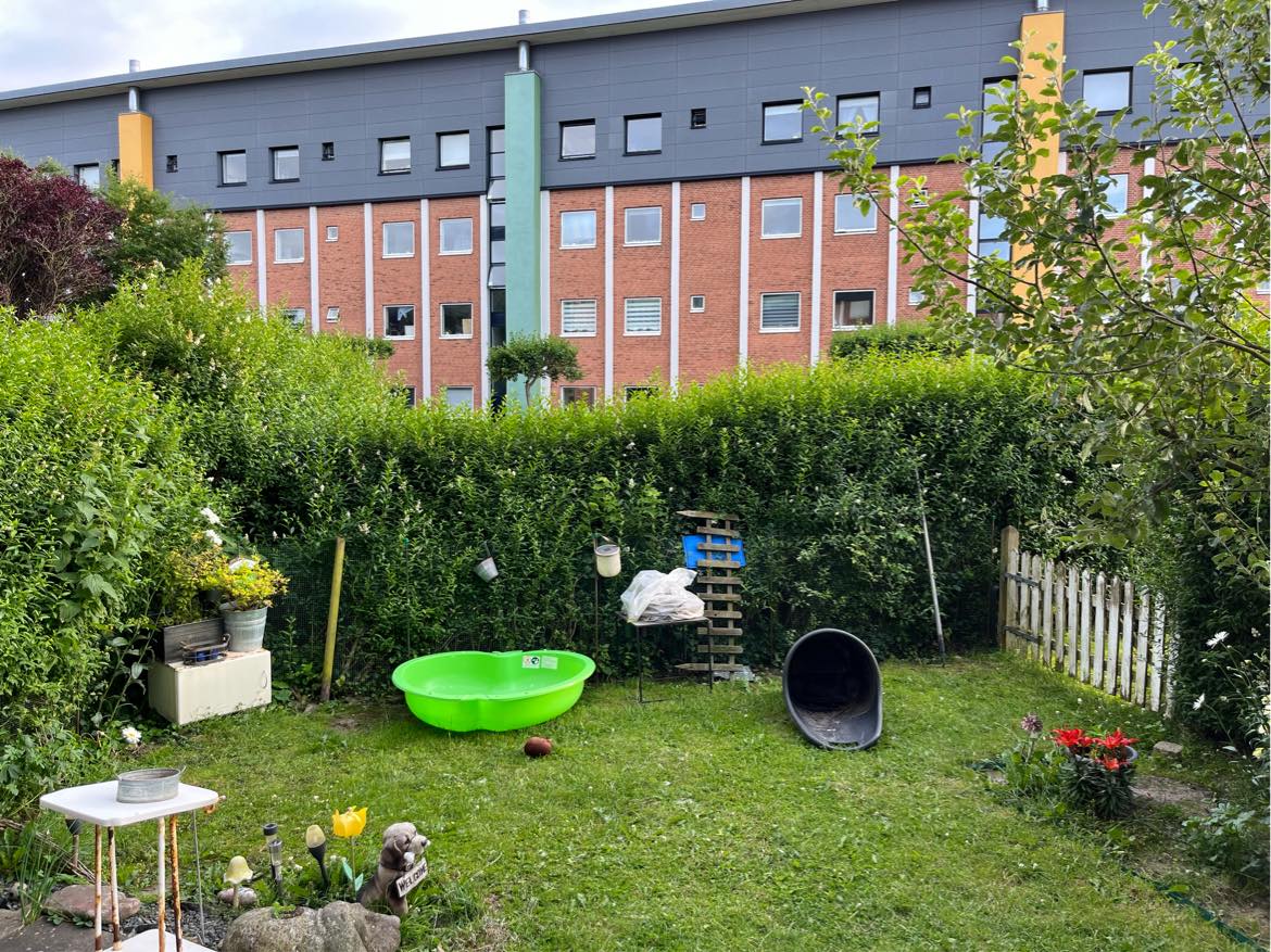 Klippe min hæk i stuelejlighed, skal kun klippes på begge sider på den ene hæk, 2 andre kun indvendig